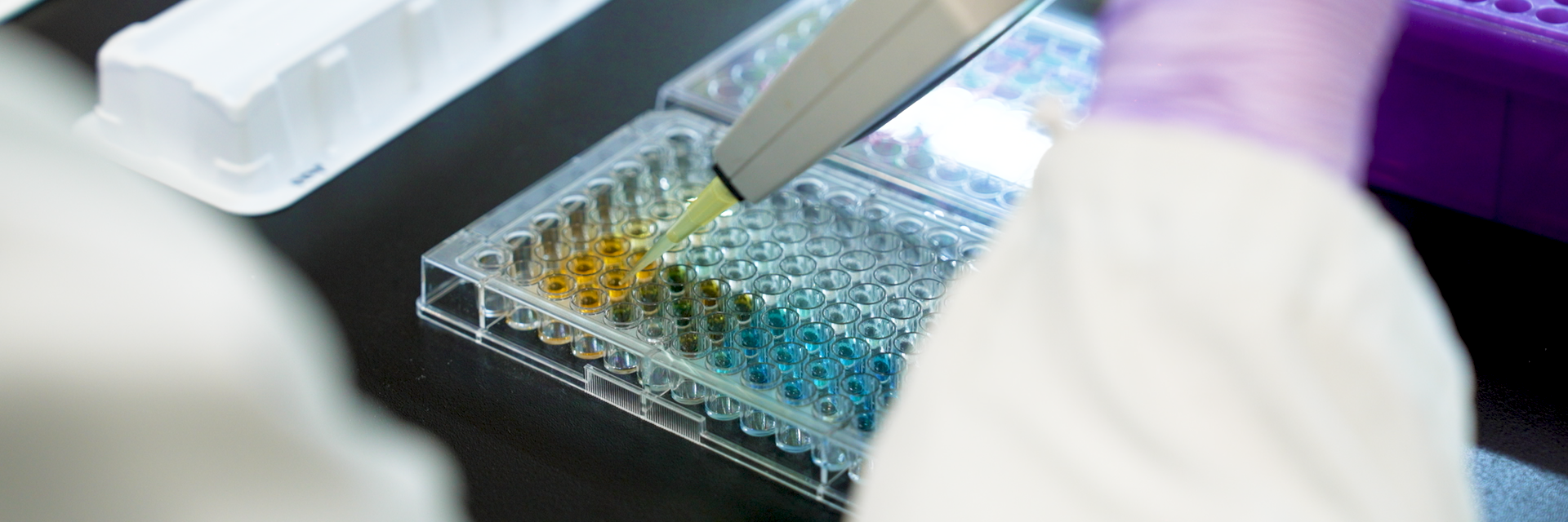 JUNTENDO_minamino_thumbnail_0021