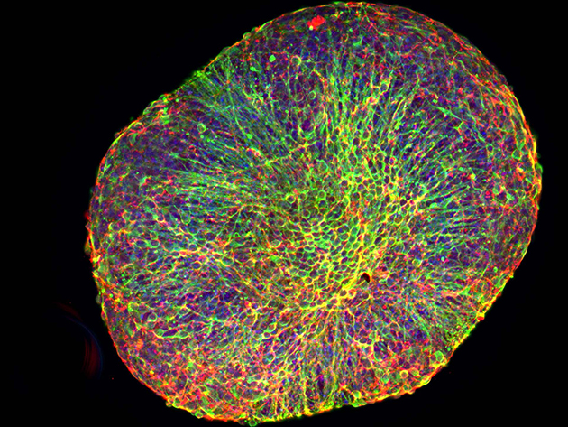 At a Glance - Research