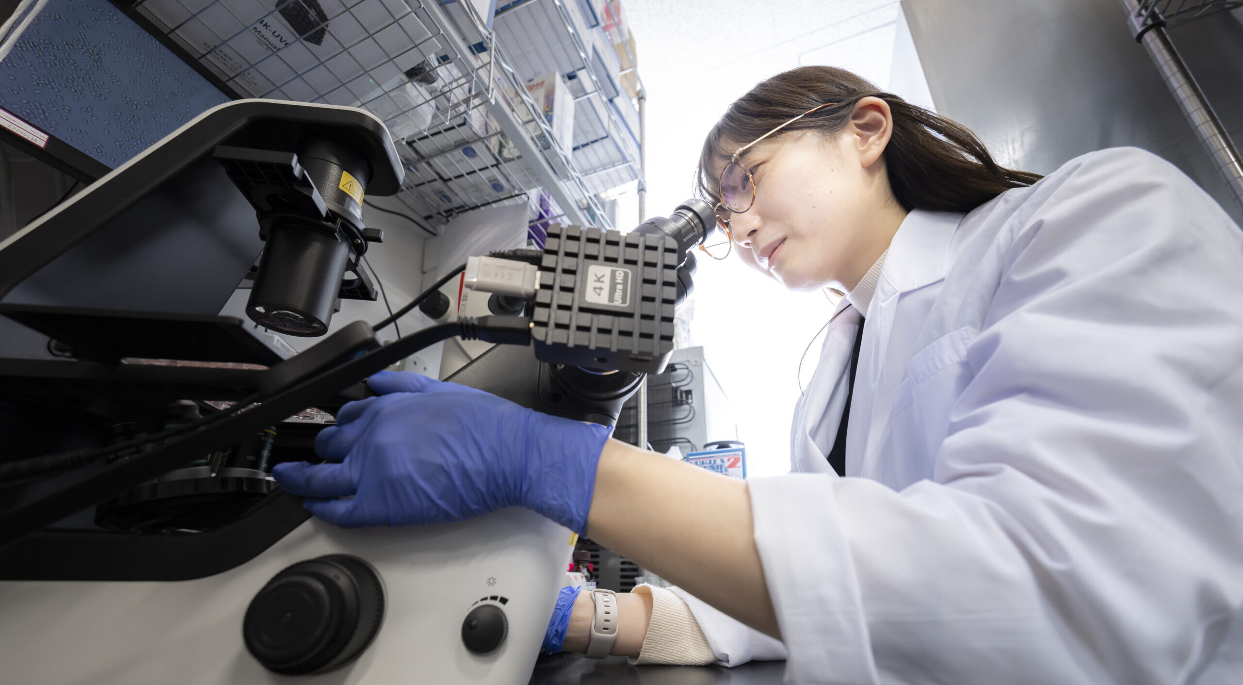 Organ Transplants Without Immunosuppressants: A Revolutionary New Immunotherapy Technology